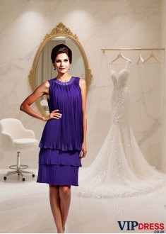 Jewel Neckline Sleeveless Chiffon Mother of the Bride Dress - A-Line Princess Knee-Length Gown