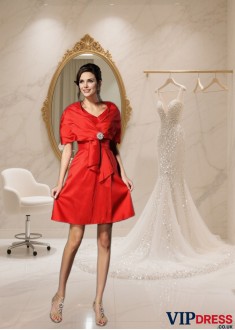 Sleeveless Short Taffeta A-Line Mother of the Bride Dress with V-Neck and Pleats
