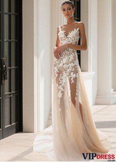 Beach Tulle and Lace Sheath Wedding Dresses with Appliques