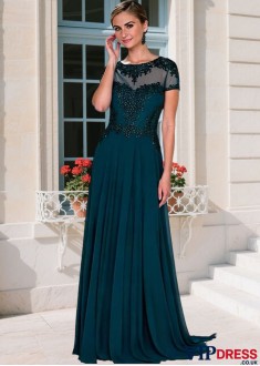 Illusion Sleeve Tulle Chiffon Mother of the Bride Dress