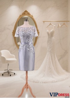 Elegant Short Lace Taffeta Dress with Bateau Neckline and Illusion Sleeves