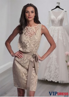 Short Lace Satin Mother of the Bride Dress – Scoop Neck Sheath Mini Formal Gown