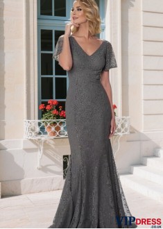 Elegant Lace V-Neck Sheath Mother of the Bride Dress with Illusion Sleeves Full Length
