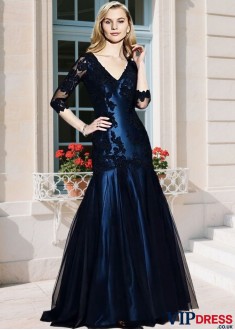 Illusion Sleeve Mermaid Mother of the Bride Gown