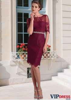 Elegant Lace Bateau Neck Mother of the Bride Dress with Illusion Sleeves – Sheath Knee Length
