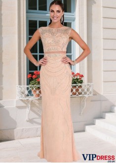 Tulle Lace Sheath Mother Dress