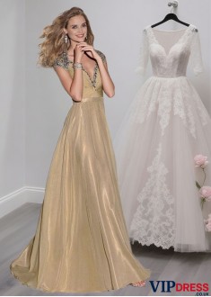 Elegant V Neck Tulle Chiffon A-Line Evening Mother of the Bride Dress