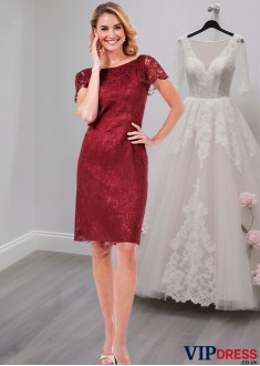 Knee Length Lace Mother Dress for Party – Sheath Gown for Occasions