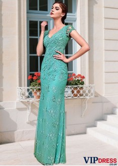 Tulle Lace Sheath Mother of the Bride Gown with Cap Sleeves