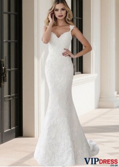 V-Neck Lace Sweep Train Bridal Dress