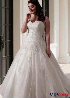 A-Line Plus Size Wedding Dress