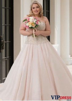 Elegant Plus Size Tulle Sweetheart Sleeveless A Line Wedding Dresses